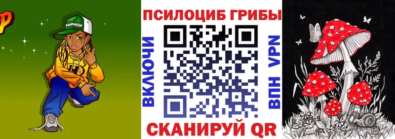 Купить  Скопин  Псилоцибиновые грибы Cubensis 
